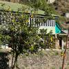 Eating Close to Nature: What Himalayan Food Traditions Get Right