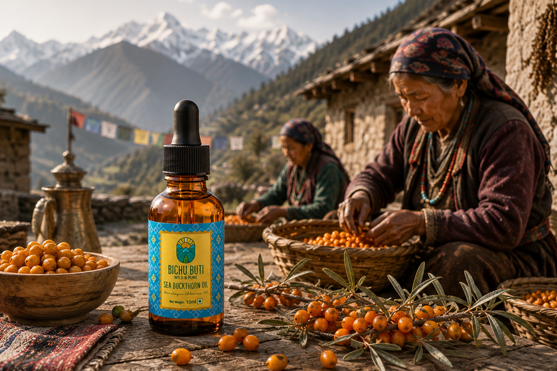 How Himalayan Communities Have Used Sea Buckthorn for Generations