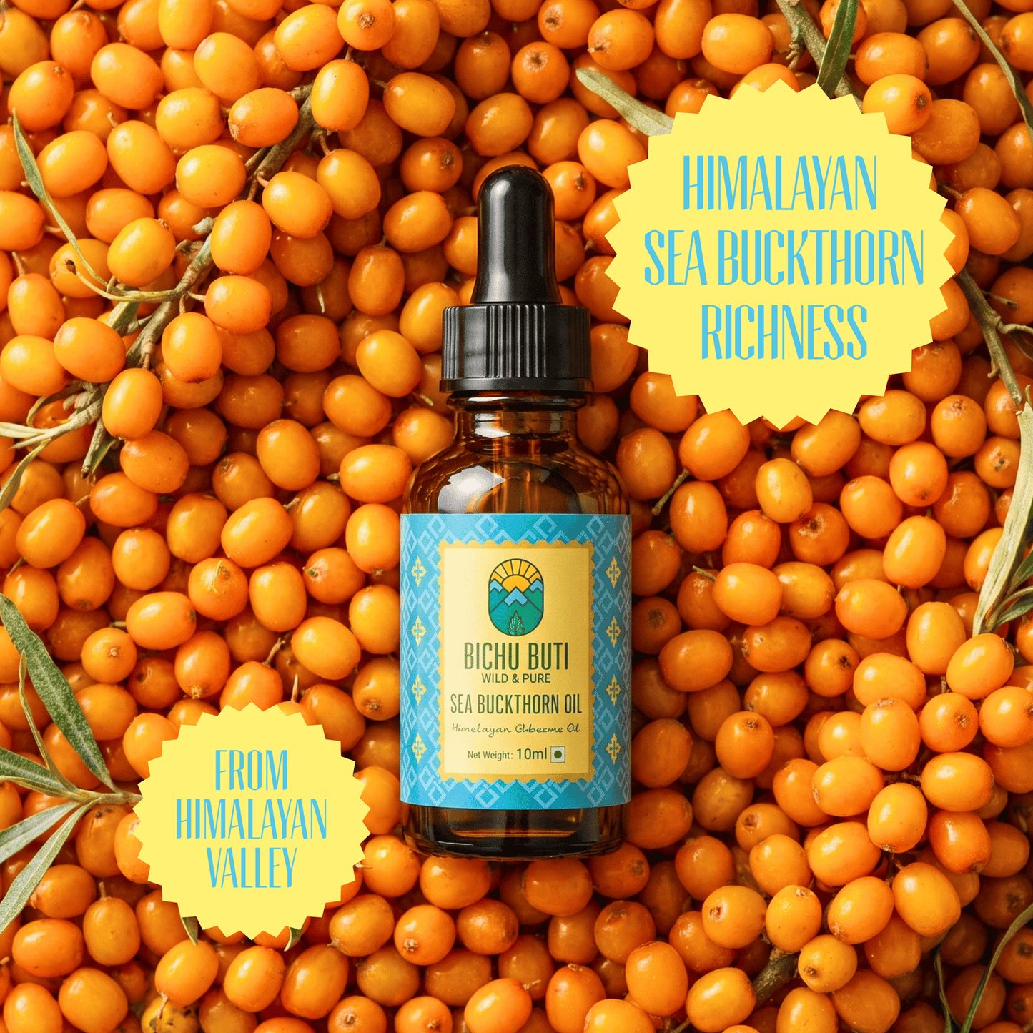 Sea Buckthorn Oil - Himalayan Chharma Oil