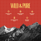 Apple Cinnamon Preserve - Seb Dalchini