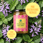 Plectranthus White Honey - Chichadi