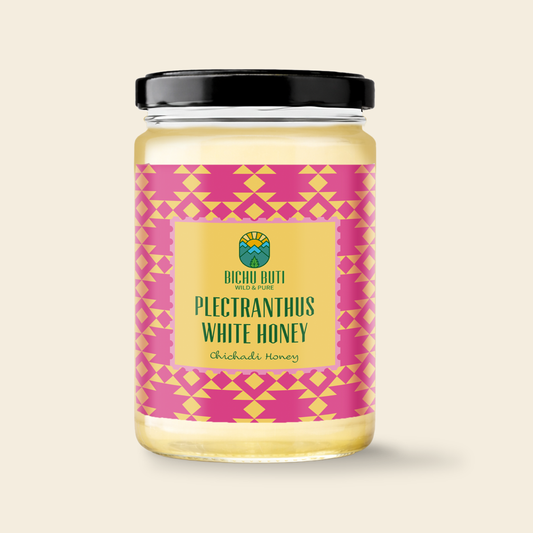 Plectranthus White Honey  Chichadi